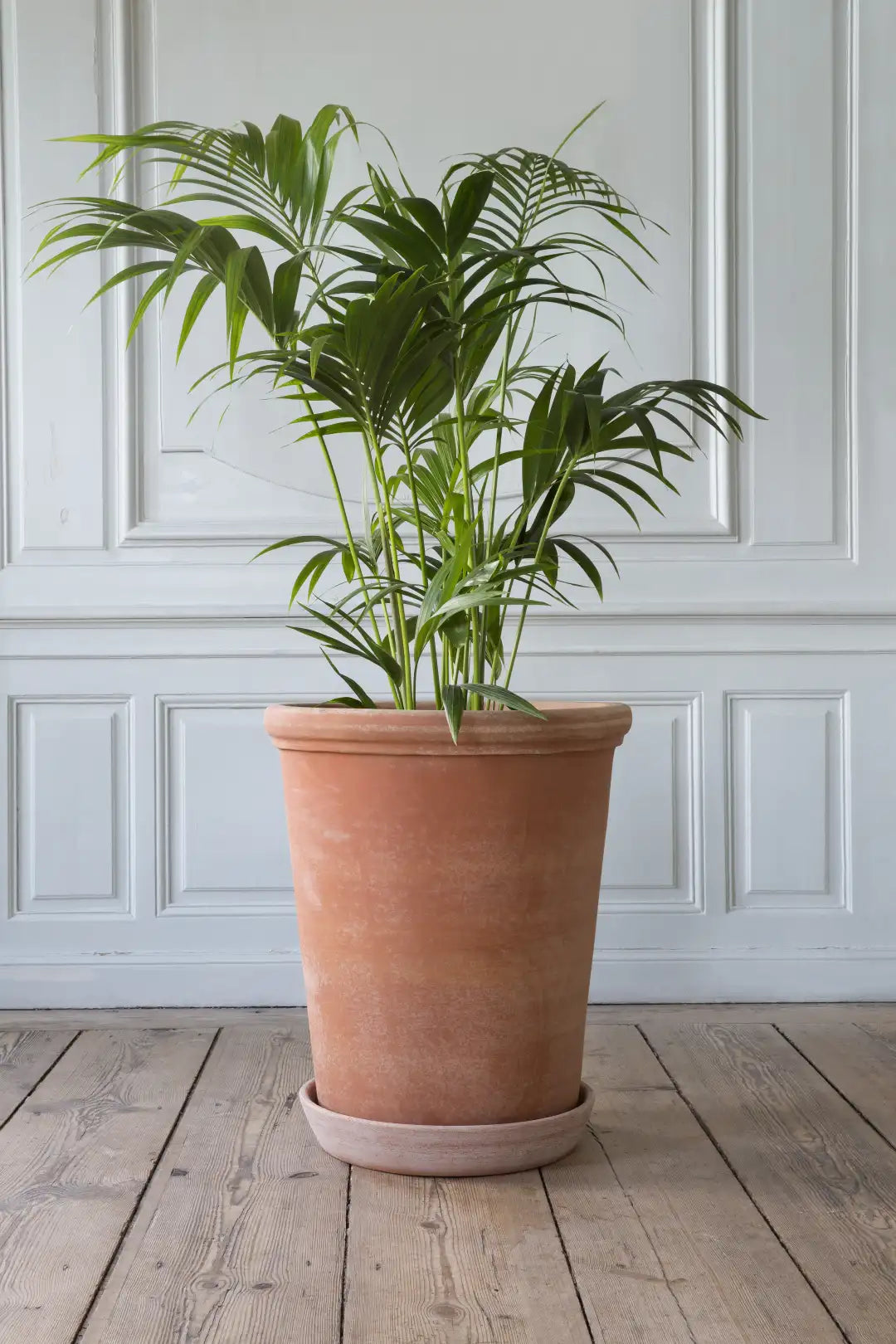 Bergs Potter Large Flora Terracotta Tall Pot