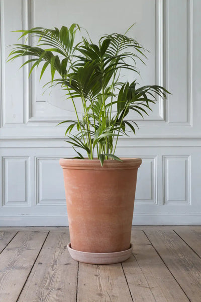 Bergs Potter Large Flora Terracotta Tall Pot