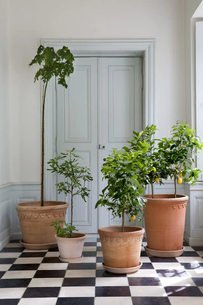 Bergs Potter Large Københavner Terracotta Tall Pot