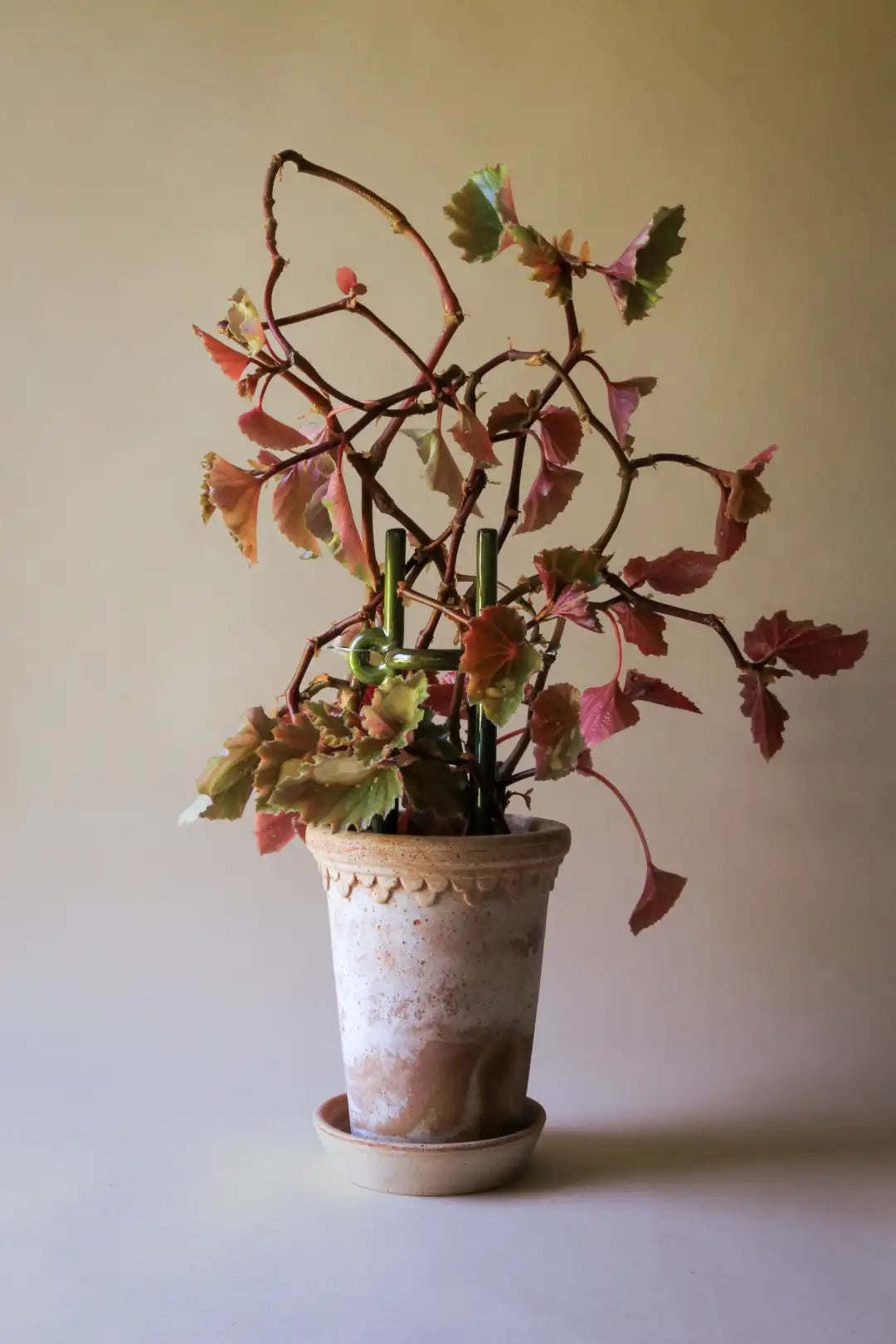 Bergs Potter Folk Hinto Plant Stake