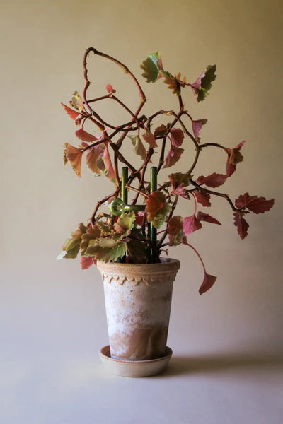 Bergs Potter Folk Hinto Plant Stake