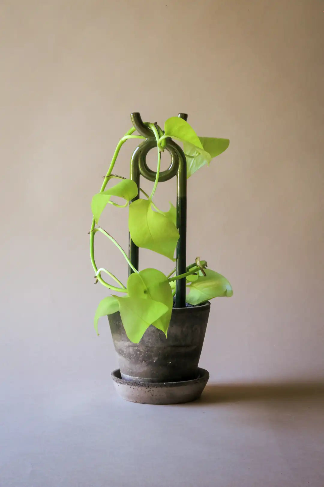 Bergs Potter Folk Oni Plant Stake
