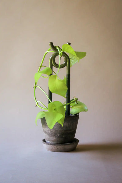 Bergs Potter Folk Oni Plant Stake