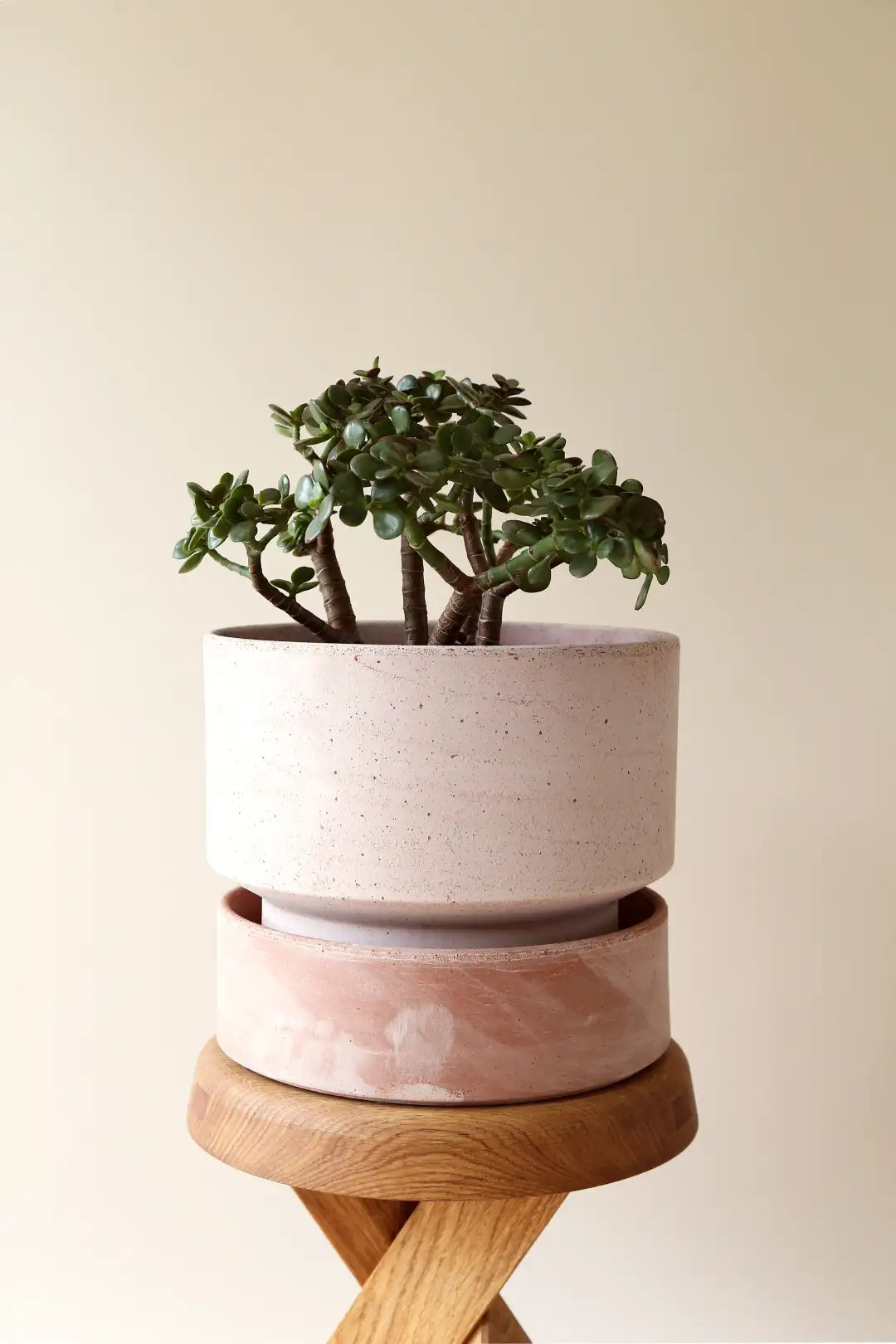 Bergs Potter Hoff Terracotta Ø30 Pot