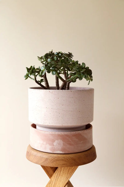 Bergs Potter Hoff Terracotta Ø30 Pot