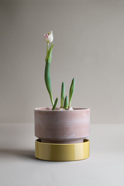 Bergs Potter Hoff Terracotta Ø30 Pot