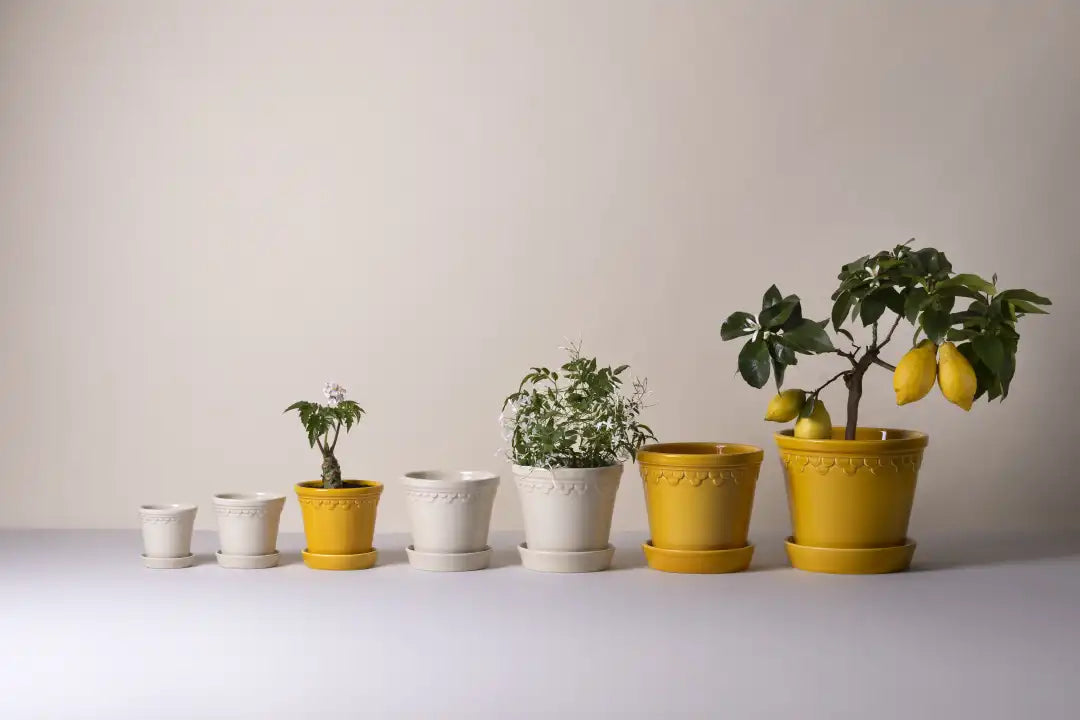 Bergs Potter Københavner Glazed Pot