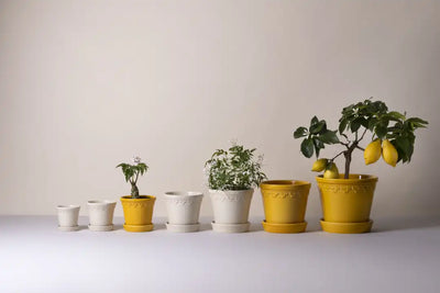 Bergs Potter Københavner Glazed Pot