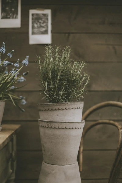 Bergs Potter Helena Terracotta Pot