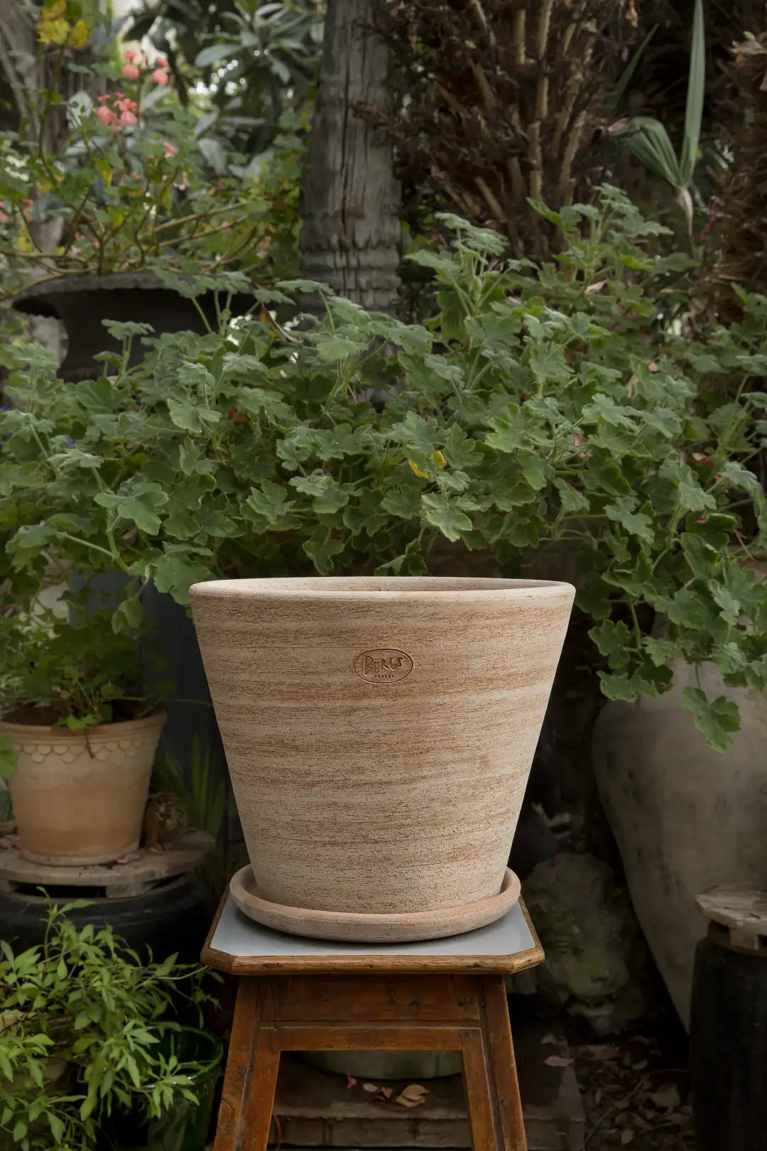 Bergs Potter Julie Terracotta Rustic Pot
