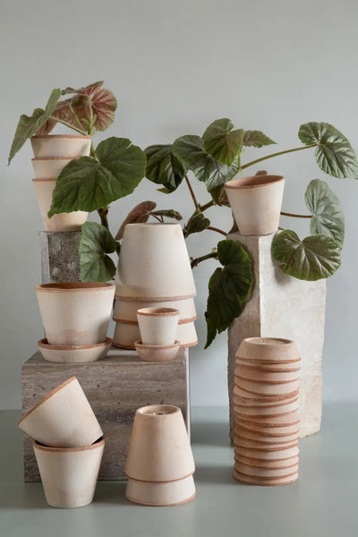 Bergs Potter Julie Terracotta Rustic Pot