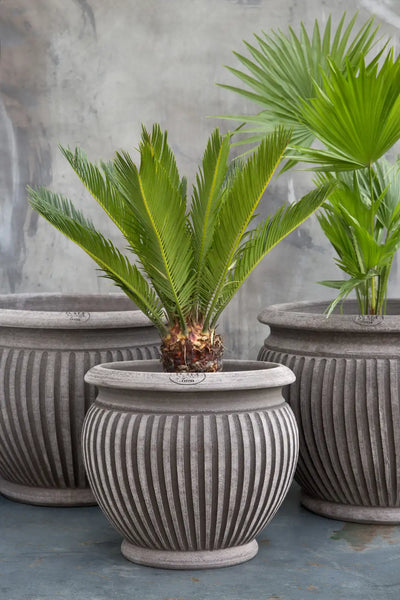 Bergs Potter Piccolina Terracotta Pot
