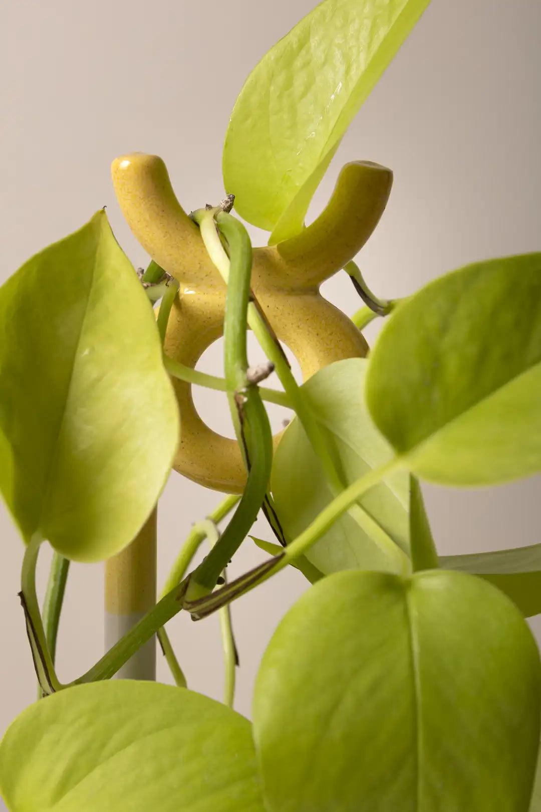 Bergs Potter Folk Oni Plant Stake