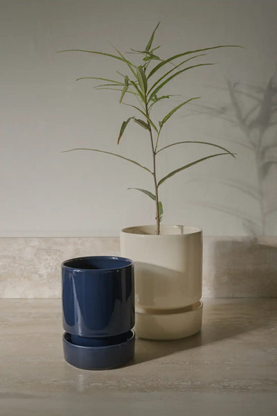 Bergs Potter Hoff Glazed Set