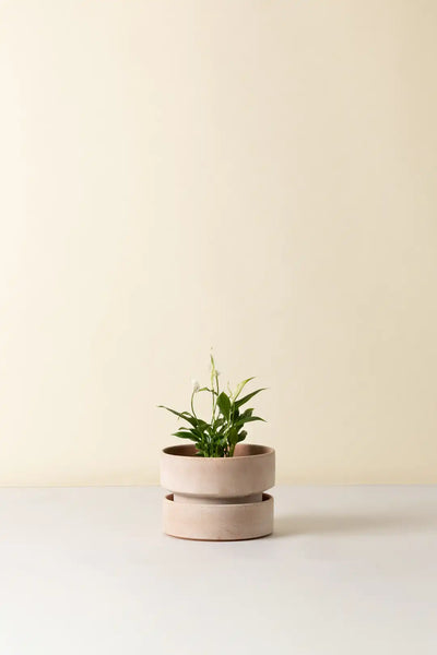 Bergs Potter Hoff Terracotta Pot
