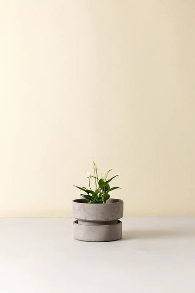 Bergs Potter Hoff Terracotta Pot