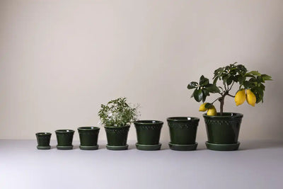 Bergs Potter Københavner Glazed Pot