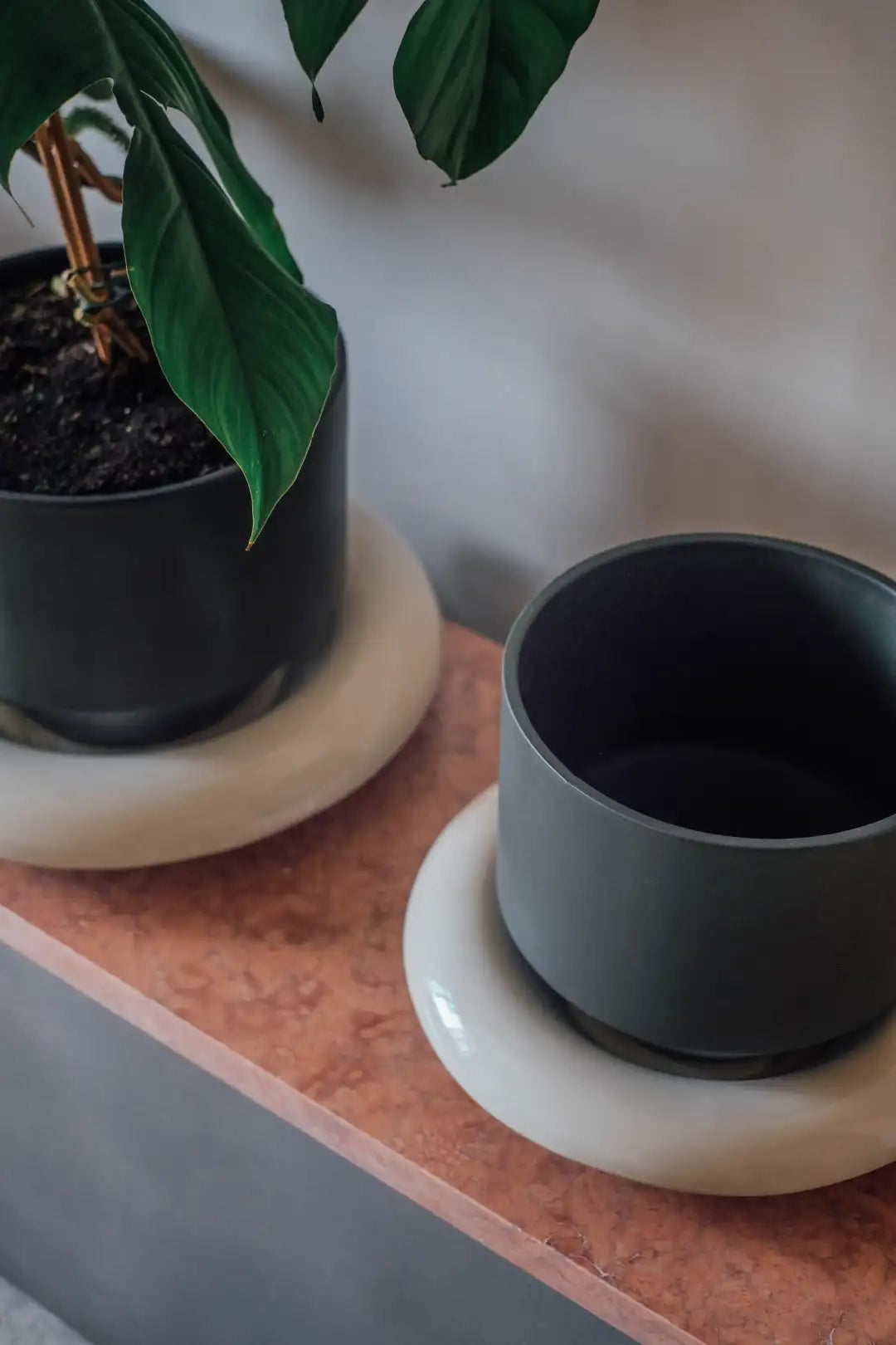 Bergs Potter Lily Glazed Saucer
