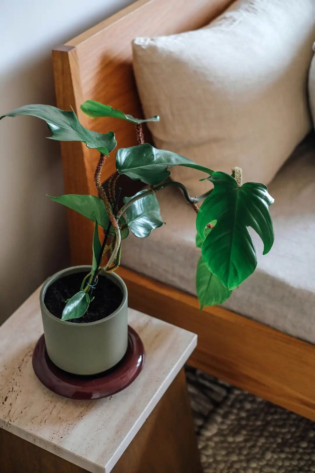 Bergs Potter Lily Glazed Pot