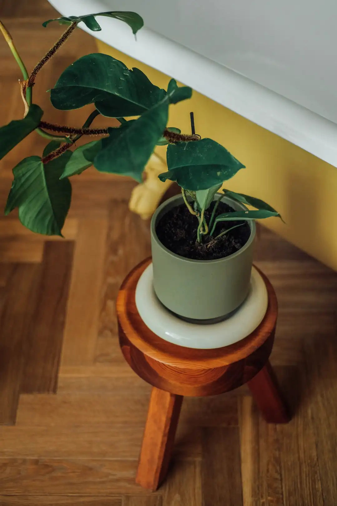 Bergs Potter Lily Glazed Pot