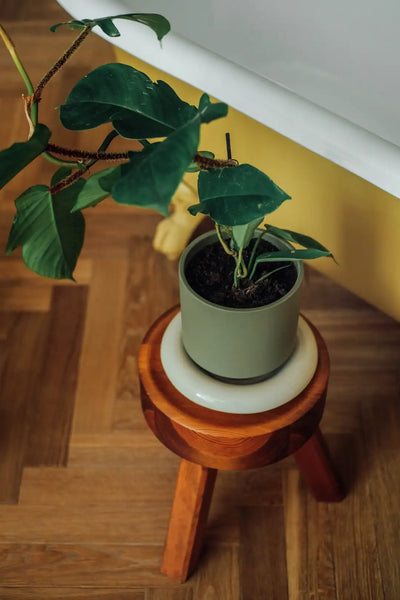 Bergs Potter Lily Glazed Pot