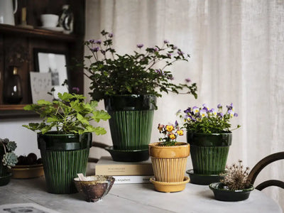 Bergs Potter Simona Glazed Pot