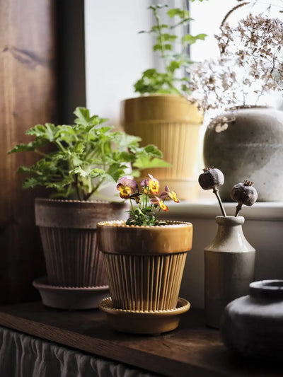 Bergs Potter Simona Glazed Pot