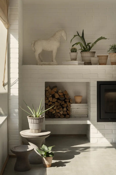 Bergs Potter Atlas Terracotta Pot
