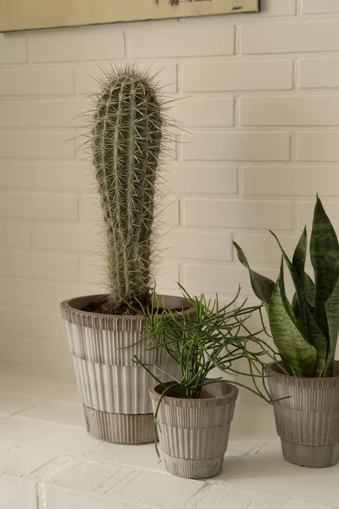 Bergs Potter Atlas Terracotta Pot