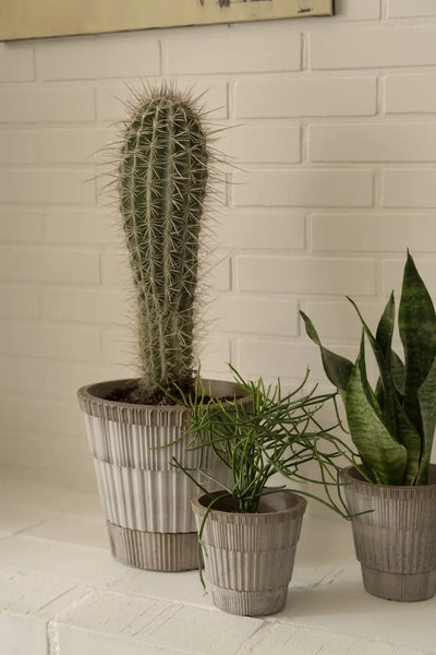 Bergs Potter Atlas Terracotta Pot