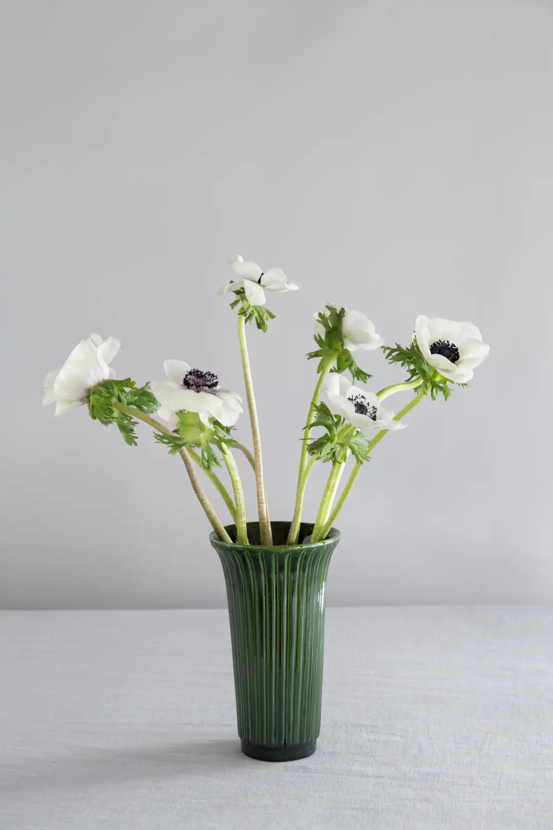 Bergs Potter Daisy Glazed Vase