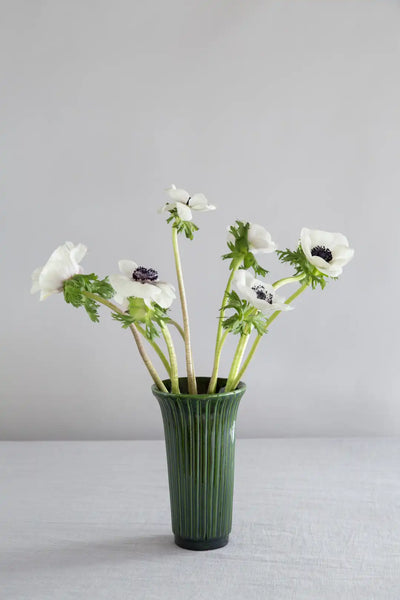 Bergs Potter Daisy Glazed Vase
