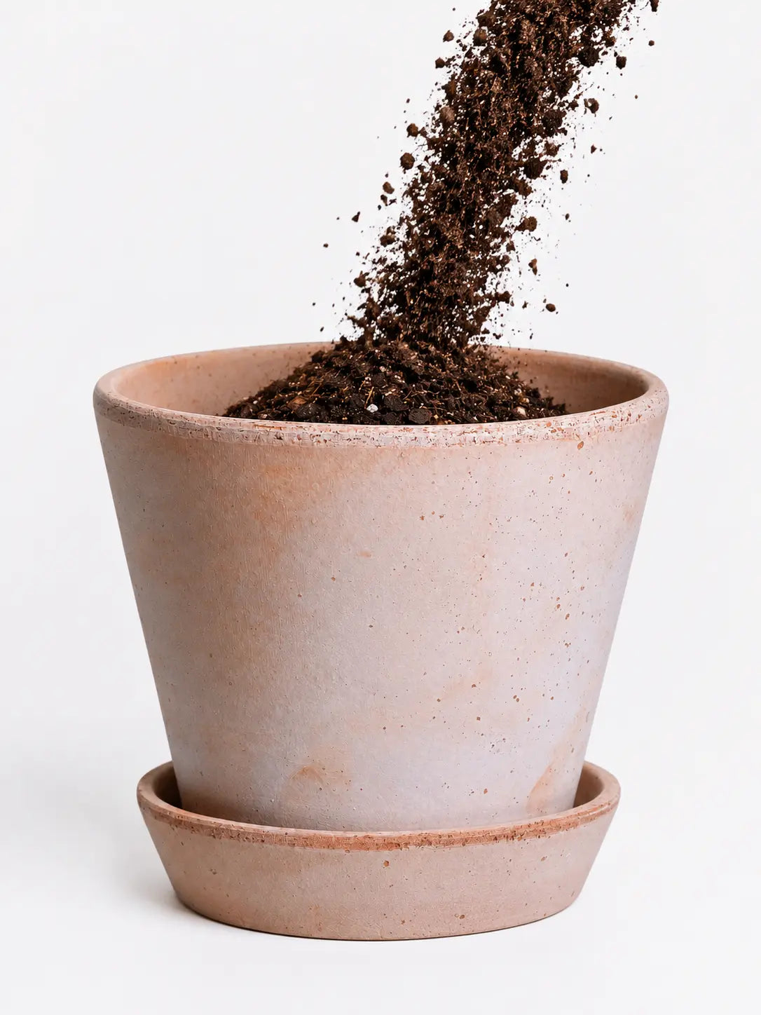 Bergs x Rewilding Julie Terracotta Planter's Kit