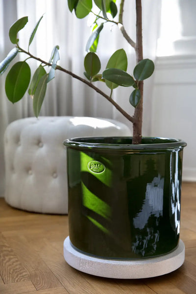 Bergs Potter Modena Glazed Cachepot