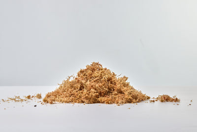 Pile of brown SpagMoss on a white background