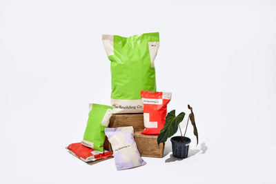 Assorted bags of The Rewilding Co. potting mix and a potted plant on a white background