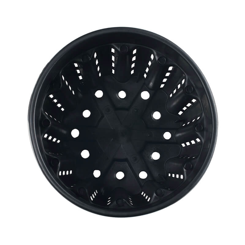 Pasquini & Bini Ercole Air-Pruning Container