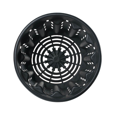 Pasquini & Bini Super Ercole Advanced Air-Pruning Container