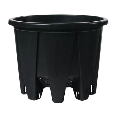 Pasquini & Bini Super Eracle Advanced Anti-Spiral Container