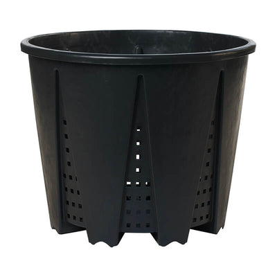 Pasquini & Bini Varia High-Capacity Root-Training Container